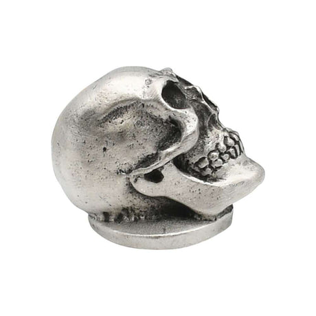 English-made pewter skull ornament right profile showing jaw and cheekbone XDHORN0511