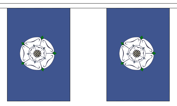 Flagmania Yorkshire Old Bunting, 9 metre bunting